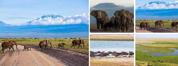 Full-Day-Game-Drive-Amboseli